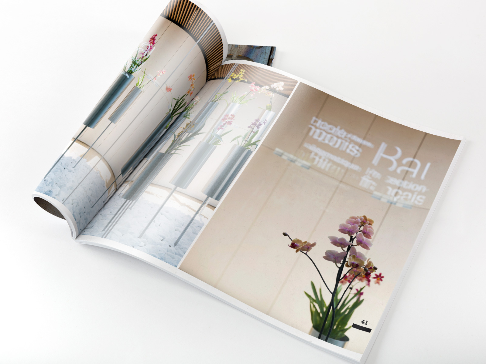 Graphisme éditorial catalogue photographies Dureuil Ast Carcelle Waixing mise en page images portraits typographie