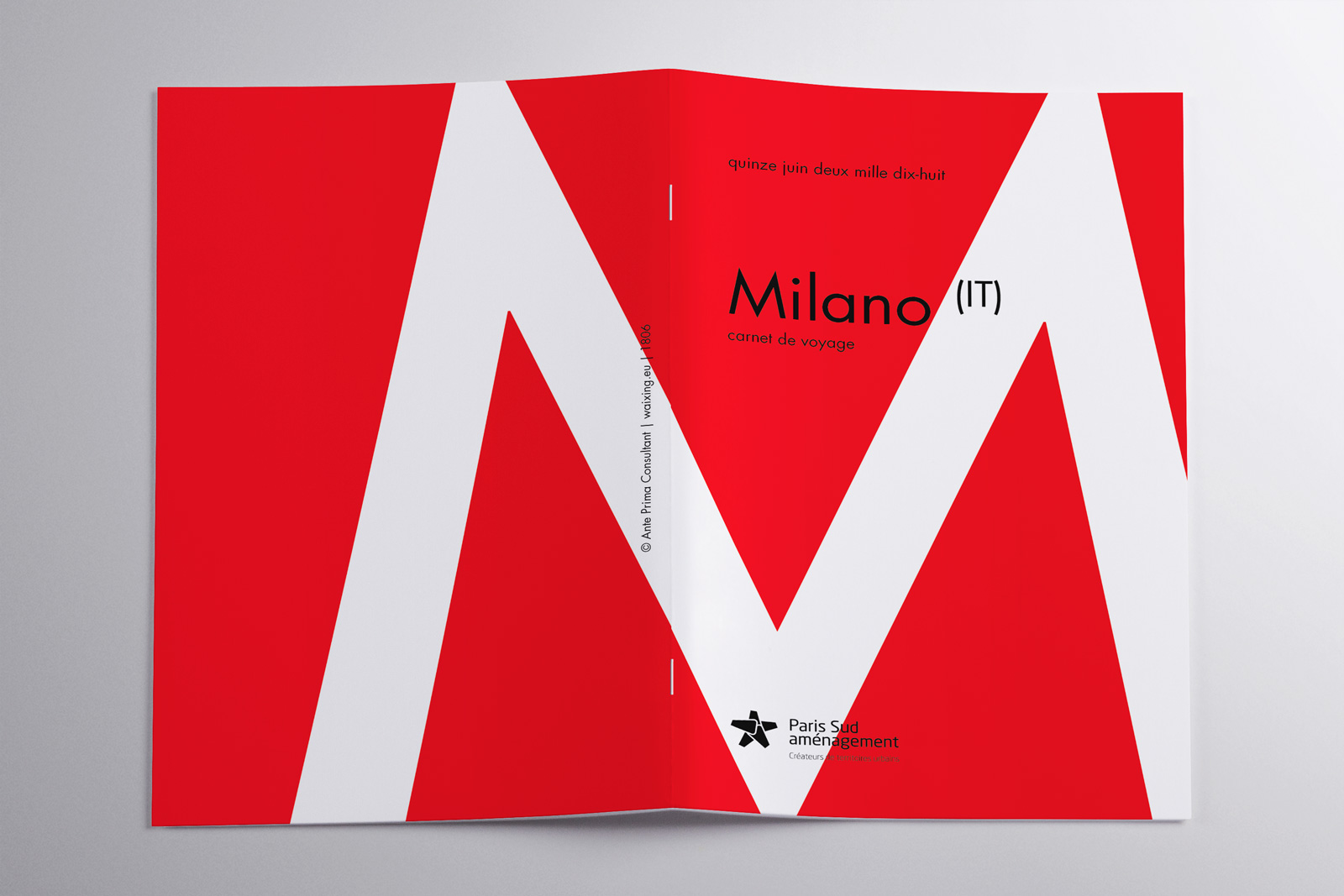 Détail graphique typographie guide Milan Waixing design éditorial