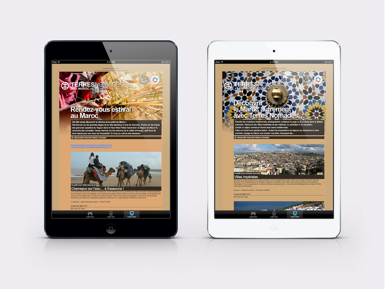 Modèle de présentation Terres Nomades – template slide identité visuelle