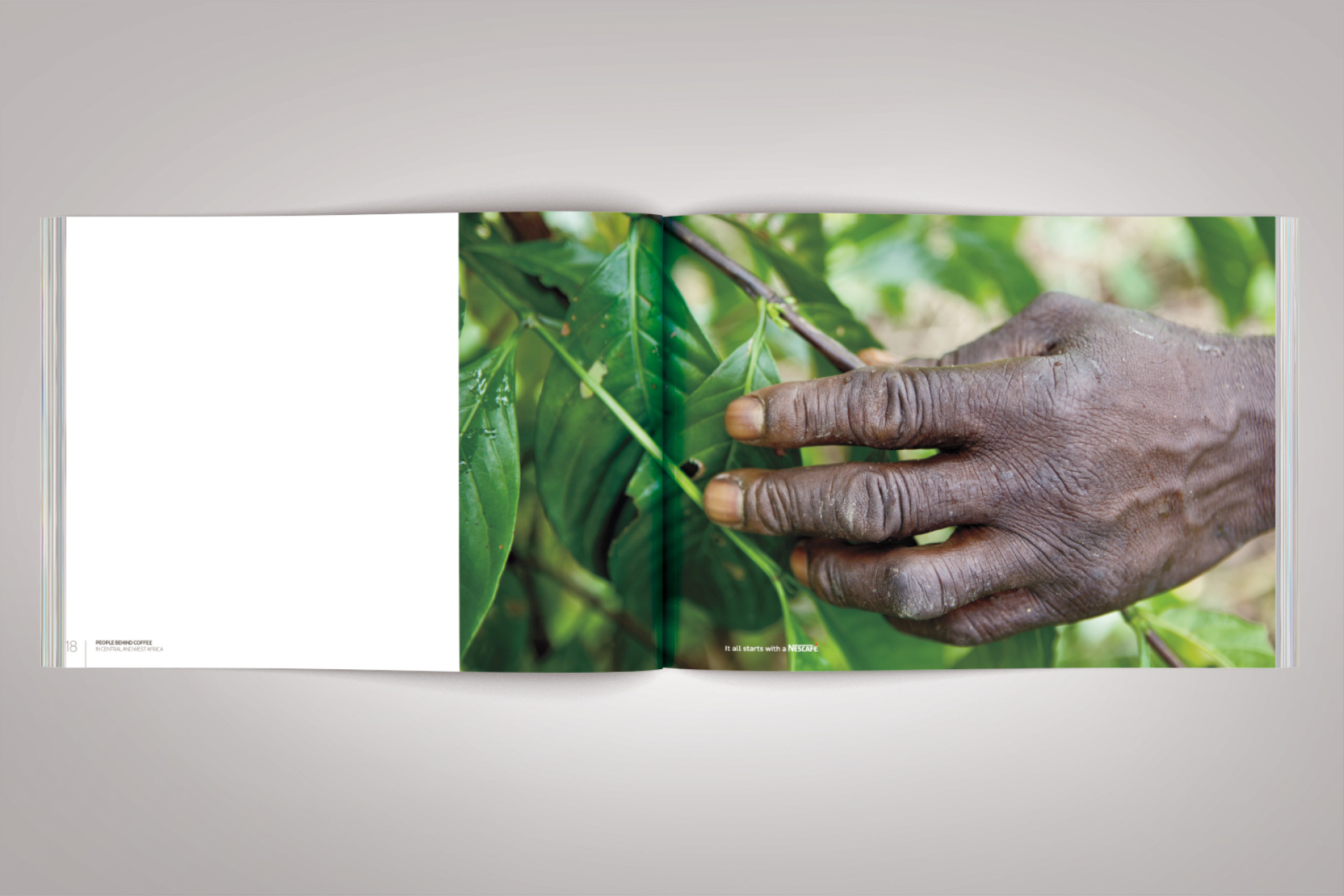Graphisme éditorial livre photographies Nescafé Waixing mise en page portraits typographie harmonieuse